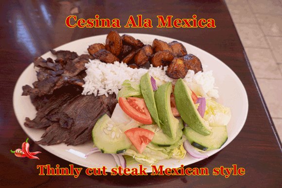 CesinaAlaMexicaP1040454580x387