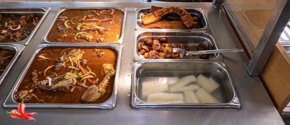 Steam01P1040279580w310