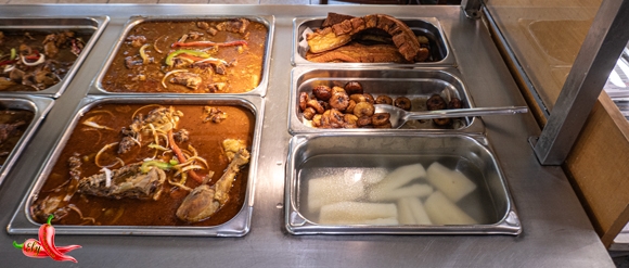 Steam01P1040279580w310