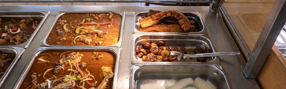 Steam01P1040279580w310