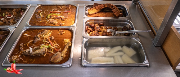 Steam01P1040279580w310