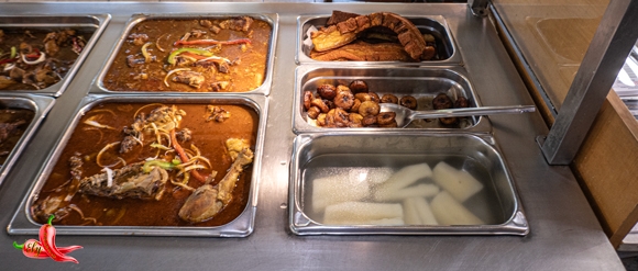 Steam01P1040279580w310