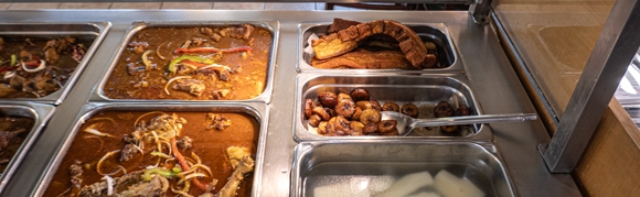 Steam01P1040279580w310