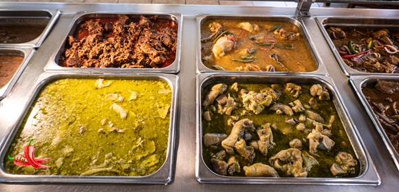 Steam02P1040281580w313