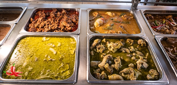 Steam02P1040281580w313