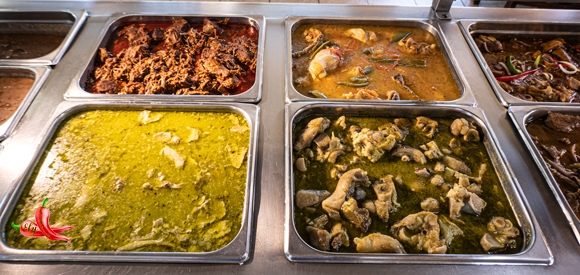 Steam02P1040281580w313