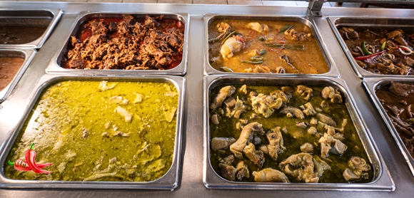 Steam02P1040281580w313