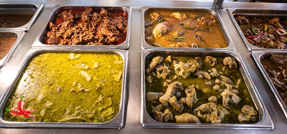 Steam02P1040281580w313