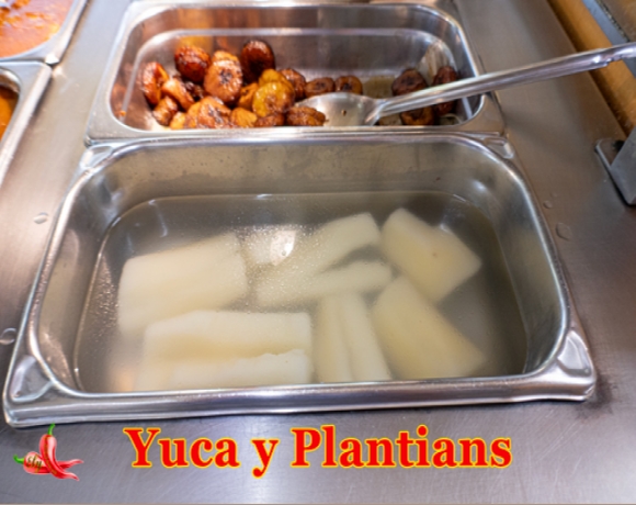 YucaPlantiansP1040533580x387